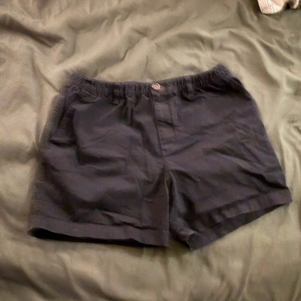 chubbies Navy Men's Shorts